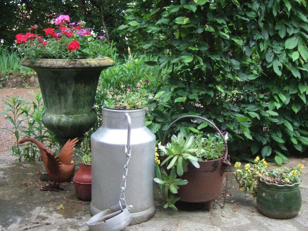 La Belle Epoque Bed and Breakfast Sansac-de-Marmiesse Εξωτερικό φωτογραφία